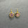 WATERMELON TOURMALINE EARRINGS
