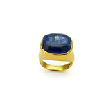 Gold Kyanite Ring SONIA TONKIN